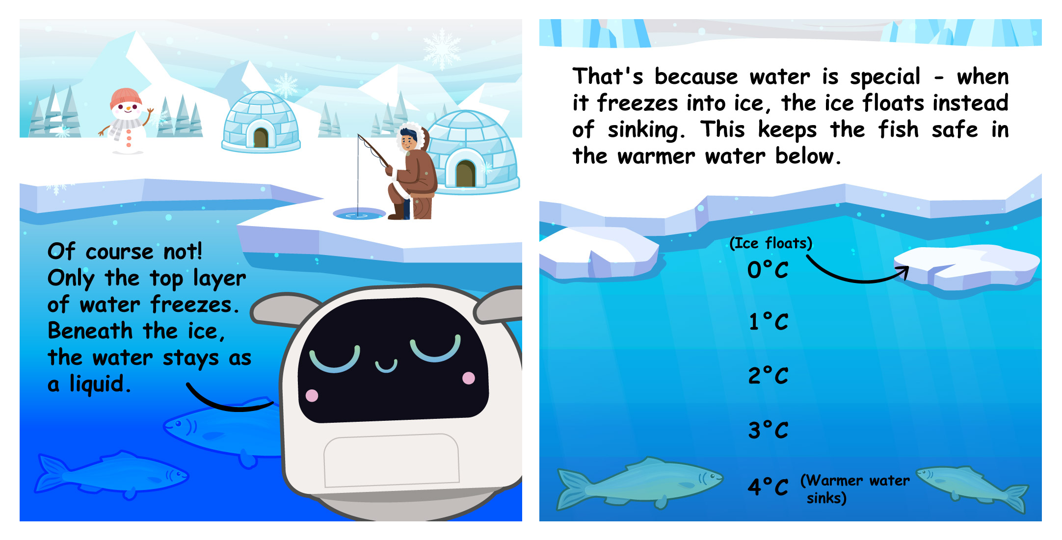 Two-panel comic explaining why lakes do not freeze solid, showing how ice floats at 0°C on top while warmer 4°C water sinks to the bottom, keeping fish safe beneath the surface.